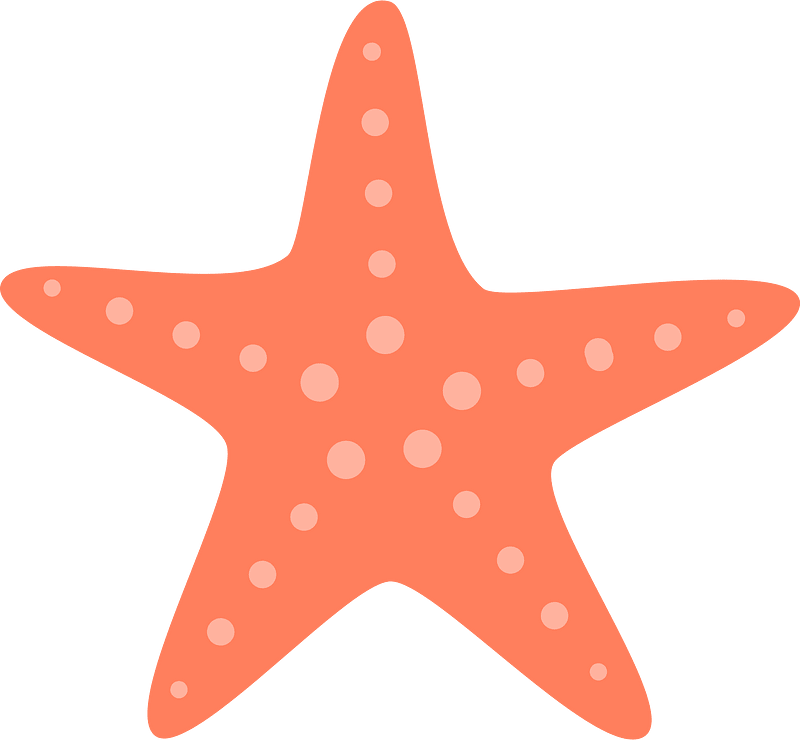 Bintang laut