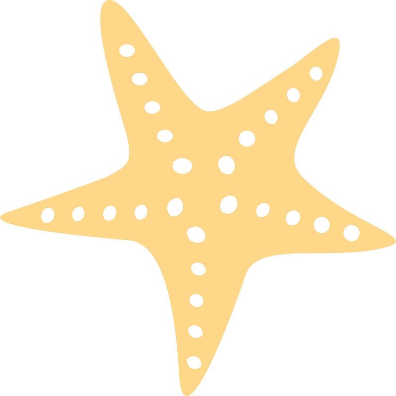 Sjøstjerne