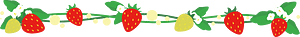 Strawberries line