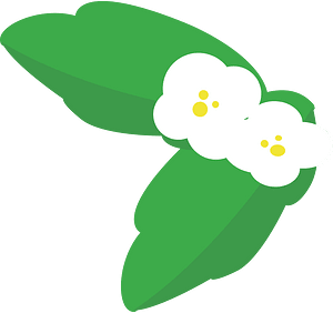 Strawberry flower