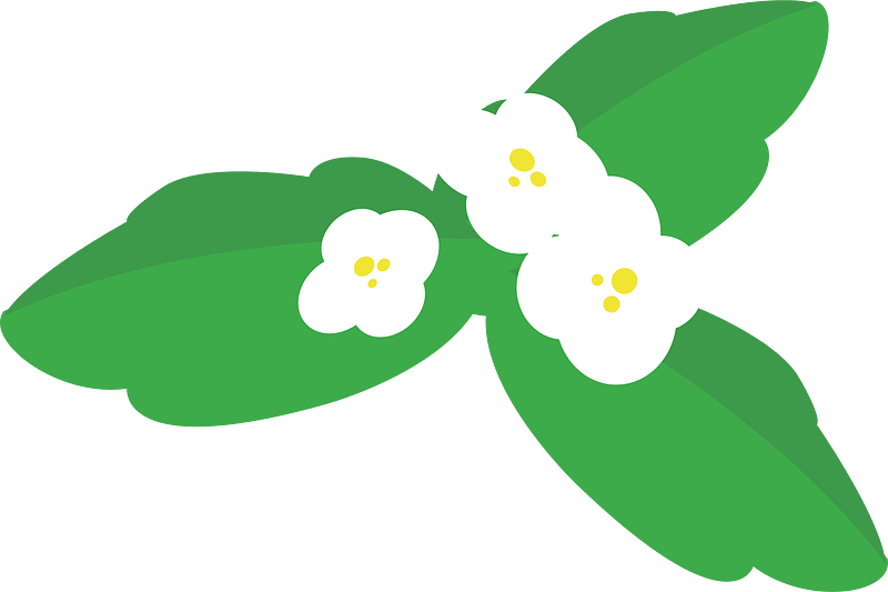 Strawberry flower