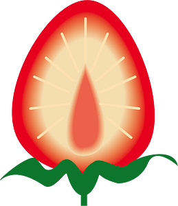 Strawberry fruit