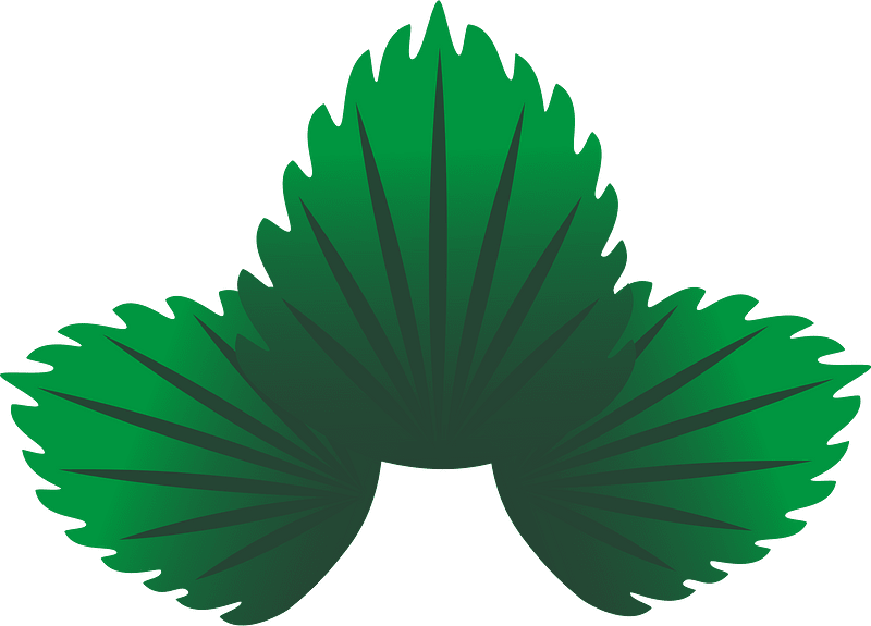 Strawberry leaves