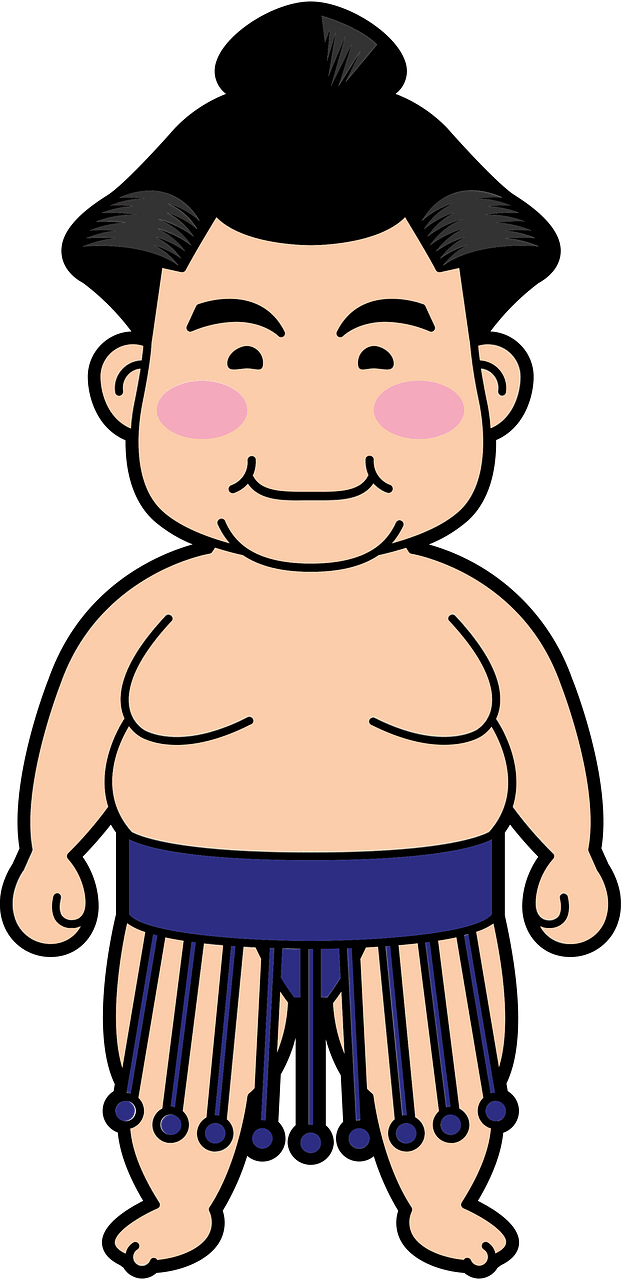 Sumo wrestler