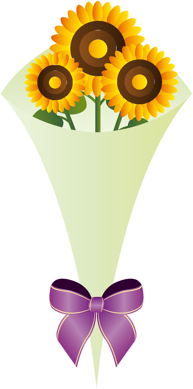 Sunflower flower