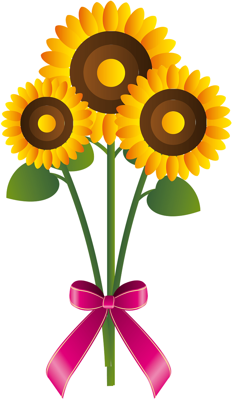 Sunflower flower