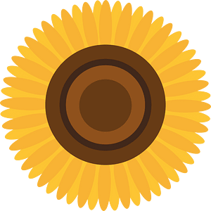 Sunflower flower