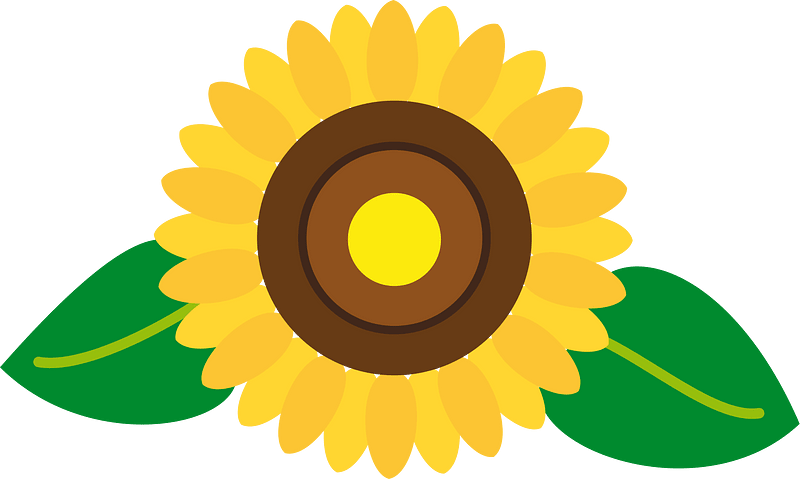 Sunflower flower