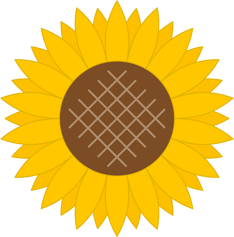 Sunflower flower