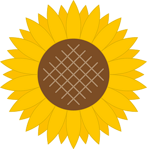 Sunflower flower