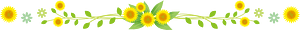 Sunflower line