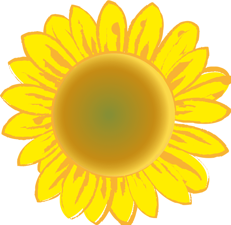 Sunflower summer