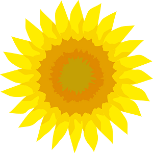 Tournesol