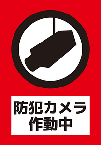 Surveillance camera