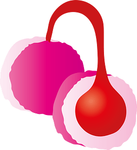 Thermal earmuffs