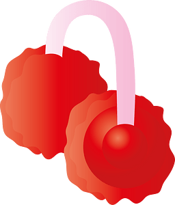 Thermal earmuffs