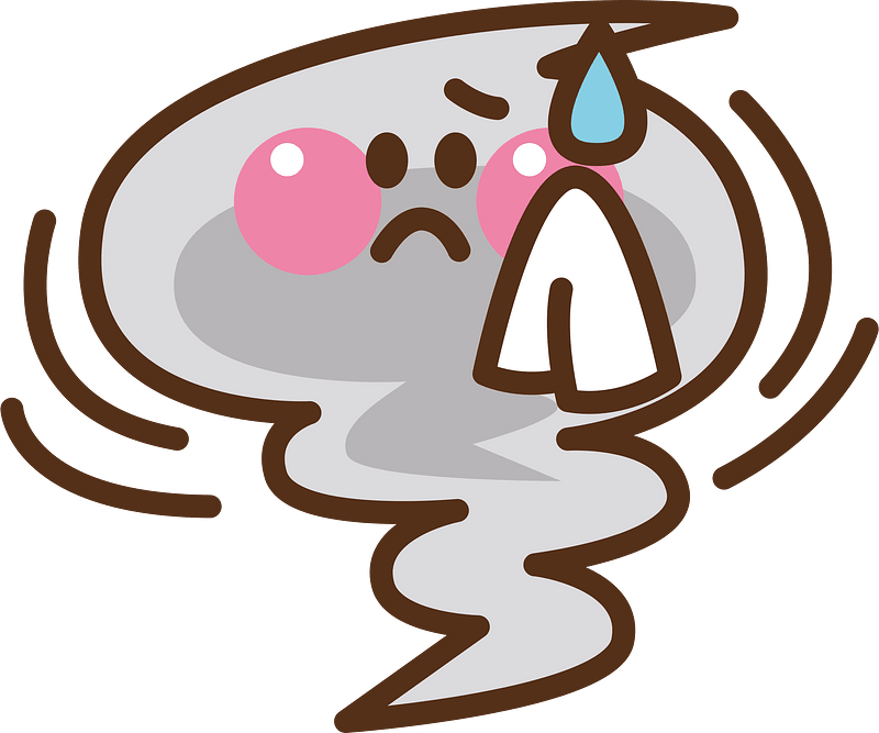 Tornado disaster