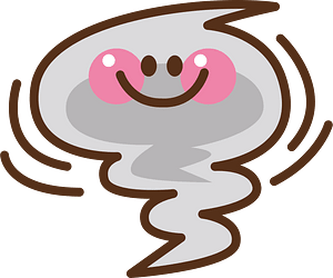Tornado disaster
