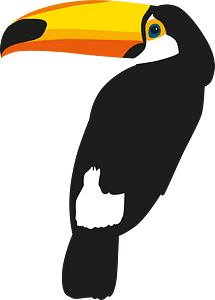 Toucan