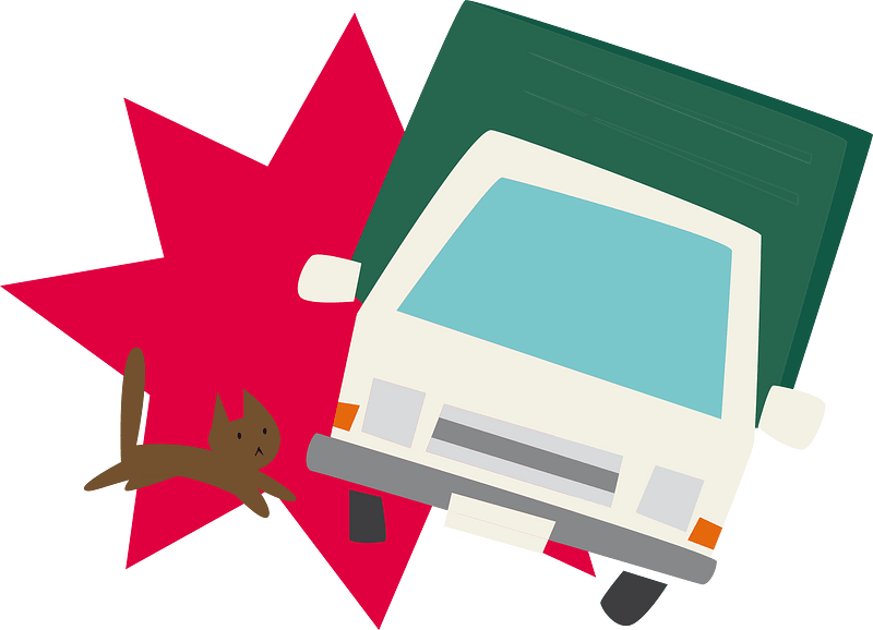 Traffic accident