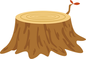 Tronco d'albero