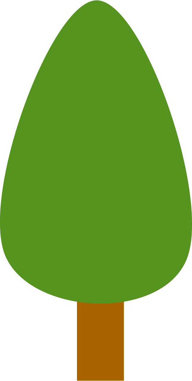 Pohon