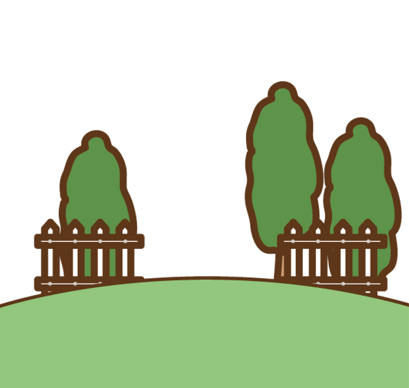 Trees landscape