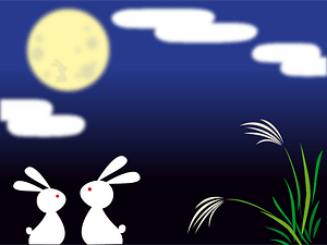 Tsukimi moon