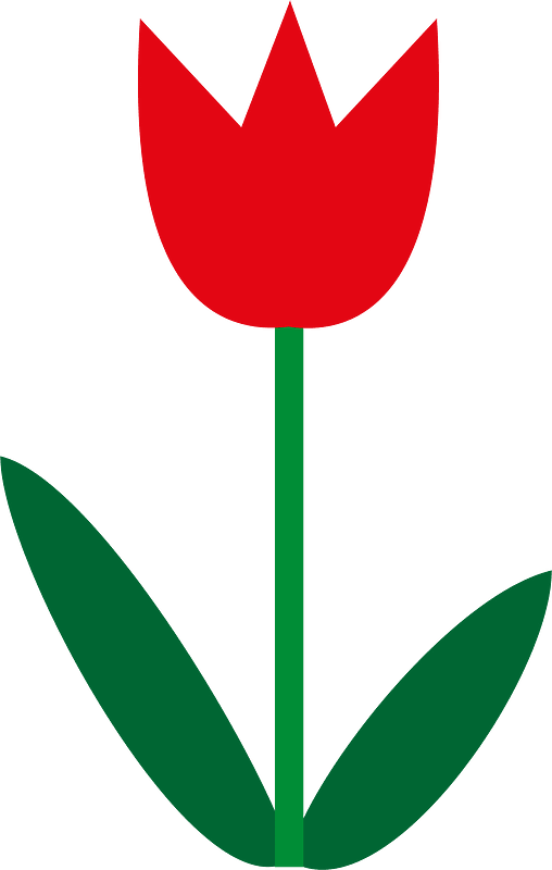 鬱金香