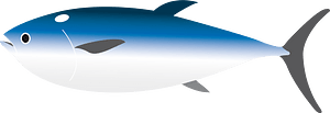 Tuna fish