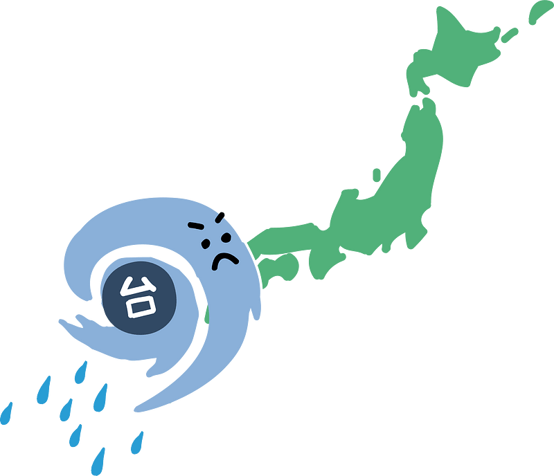 Typhoon disaster