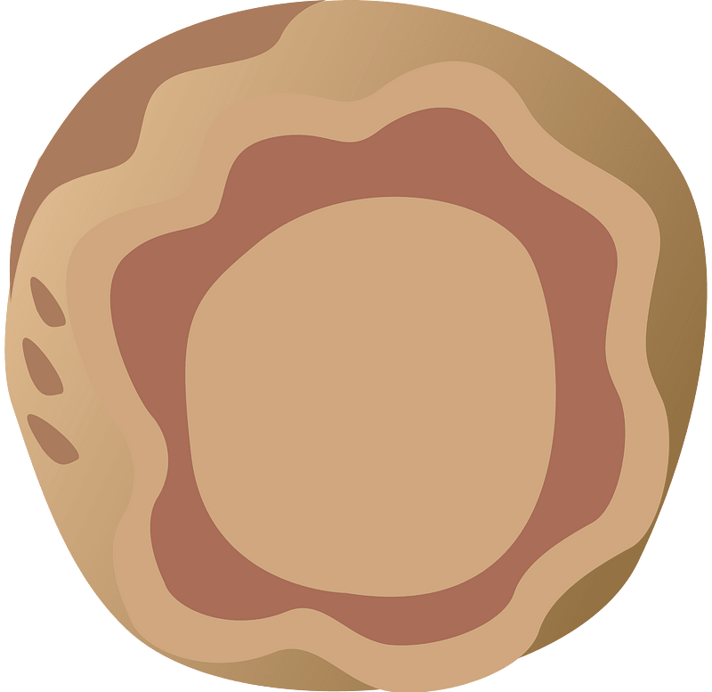 Vegetable food