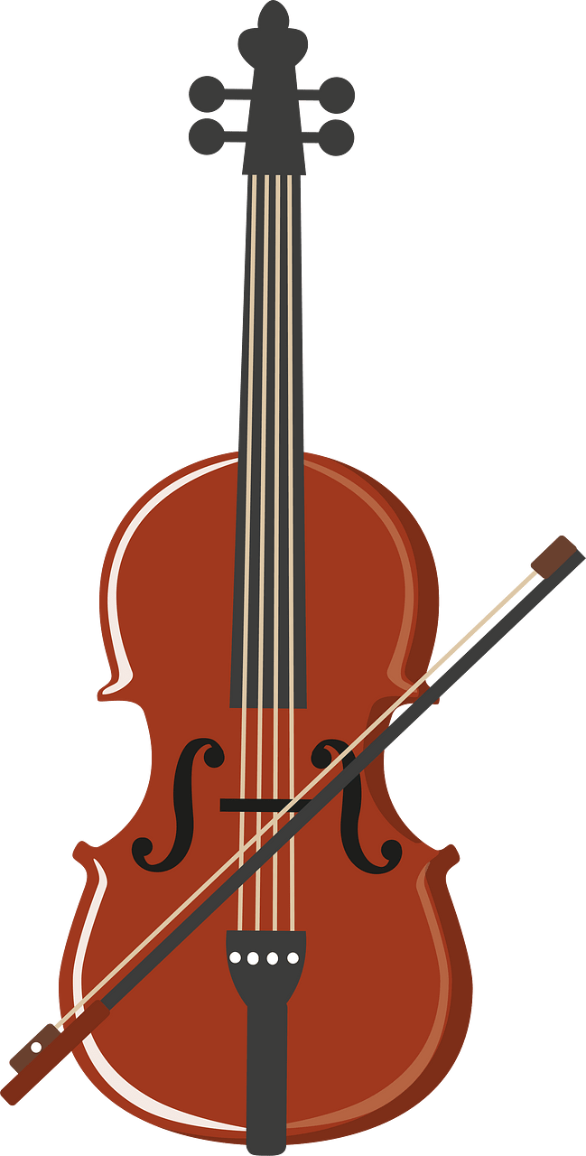 Violin violinist