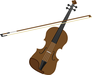 Violin