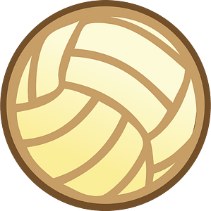 Pallone da pallavolo