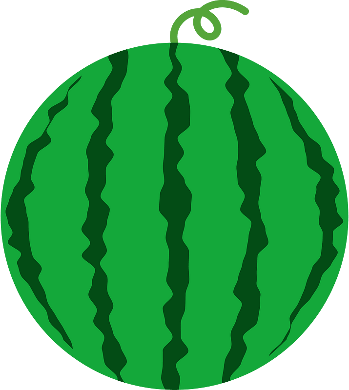 Watermelon fruit