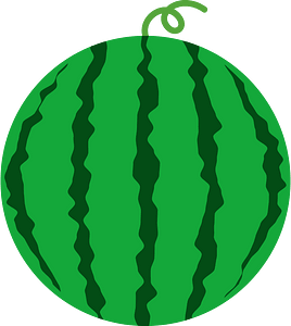 Watermelon fruit