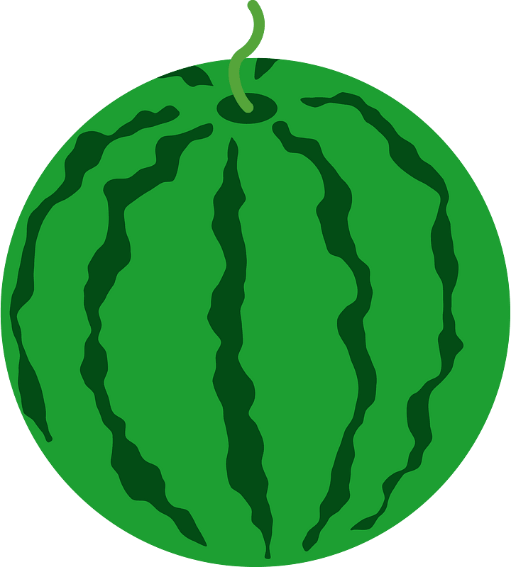 Watermelon fruit