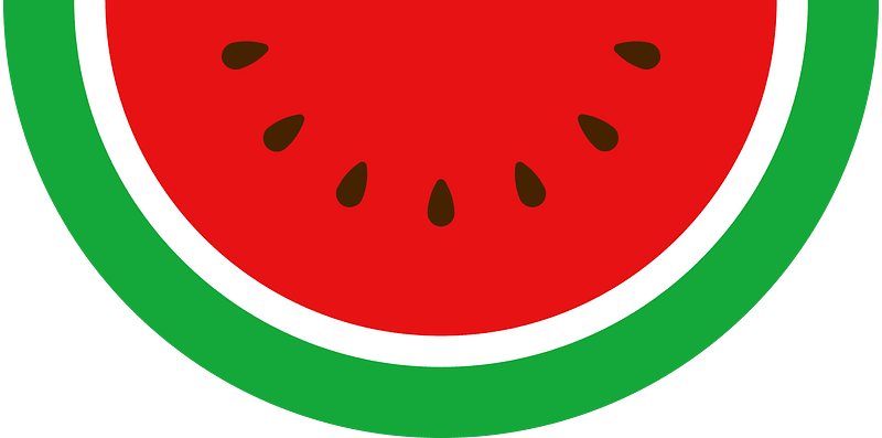 Watermelon fruit