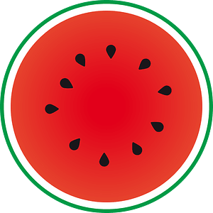 Watermelon fruit