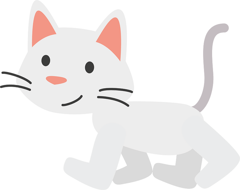 White cat