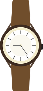 Wristwatch fashion