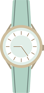 Wristwatch fashion