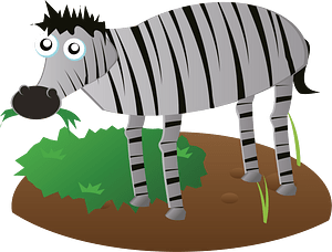 Zebra animal