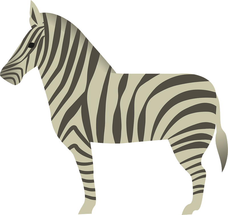 Zebra animal