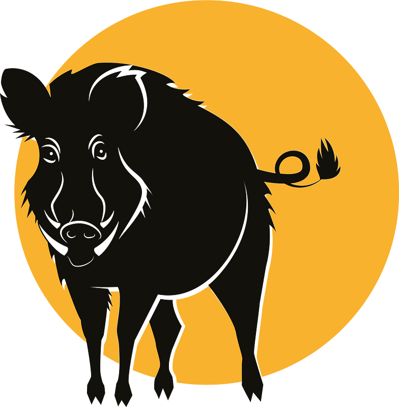 Wild hog