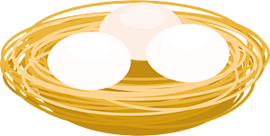 Birds nest