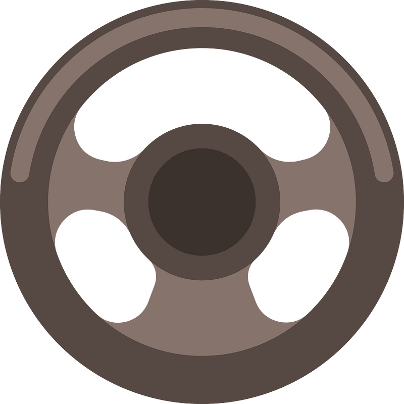 Car steering wheel