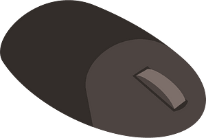 Computer mouse