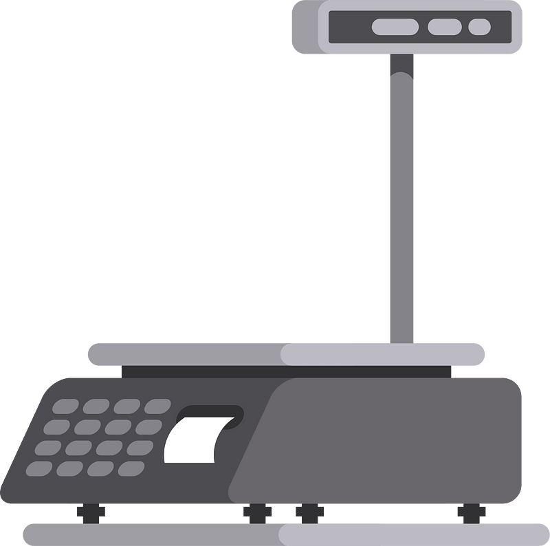 Electronic scale